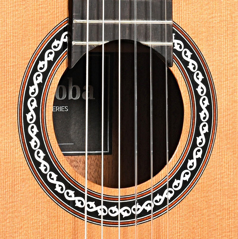 Image 5 of Cordoba C9 Classical Guitar and Case - SKU# CORC9C : Product Type Classical & Flamenco Guitars : Elderly Instruments