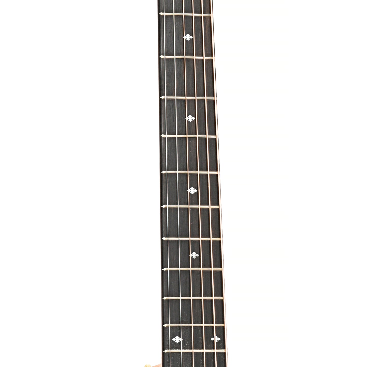Image 6 of Taylor 214ce Sunburst Deluxe & Case, Left Handed- SKU# 214CESBDLXLH : Product Type Flat-top Guitars : Elderly Instruments