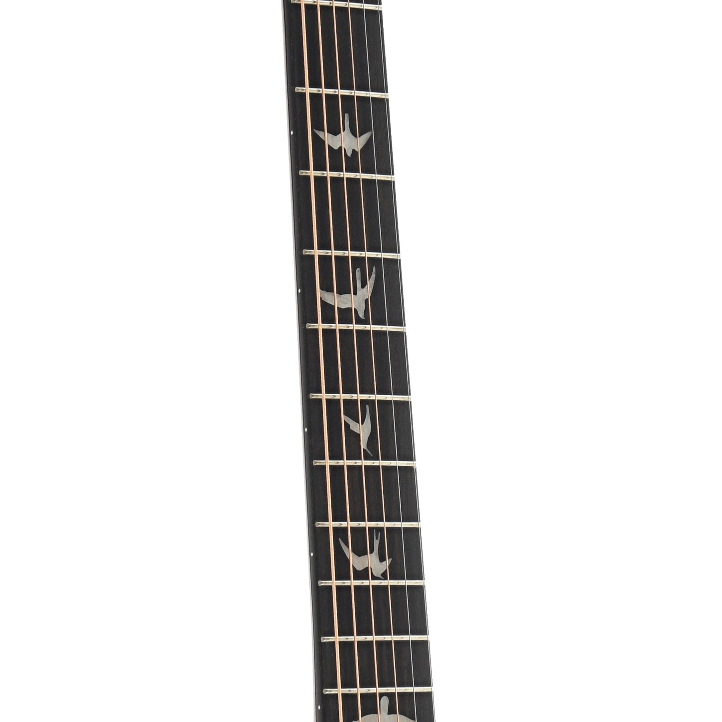 Image 5 of PRS Se A40E Angelus Cutaway Acoustic Guitar and Case - SKU# SEA40E : Product Type Flat-top Guitars : Elderly Instruments
