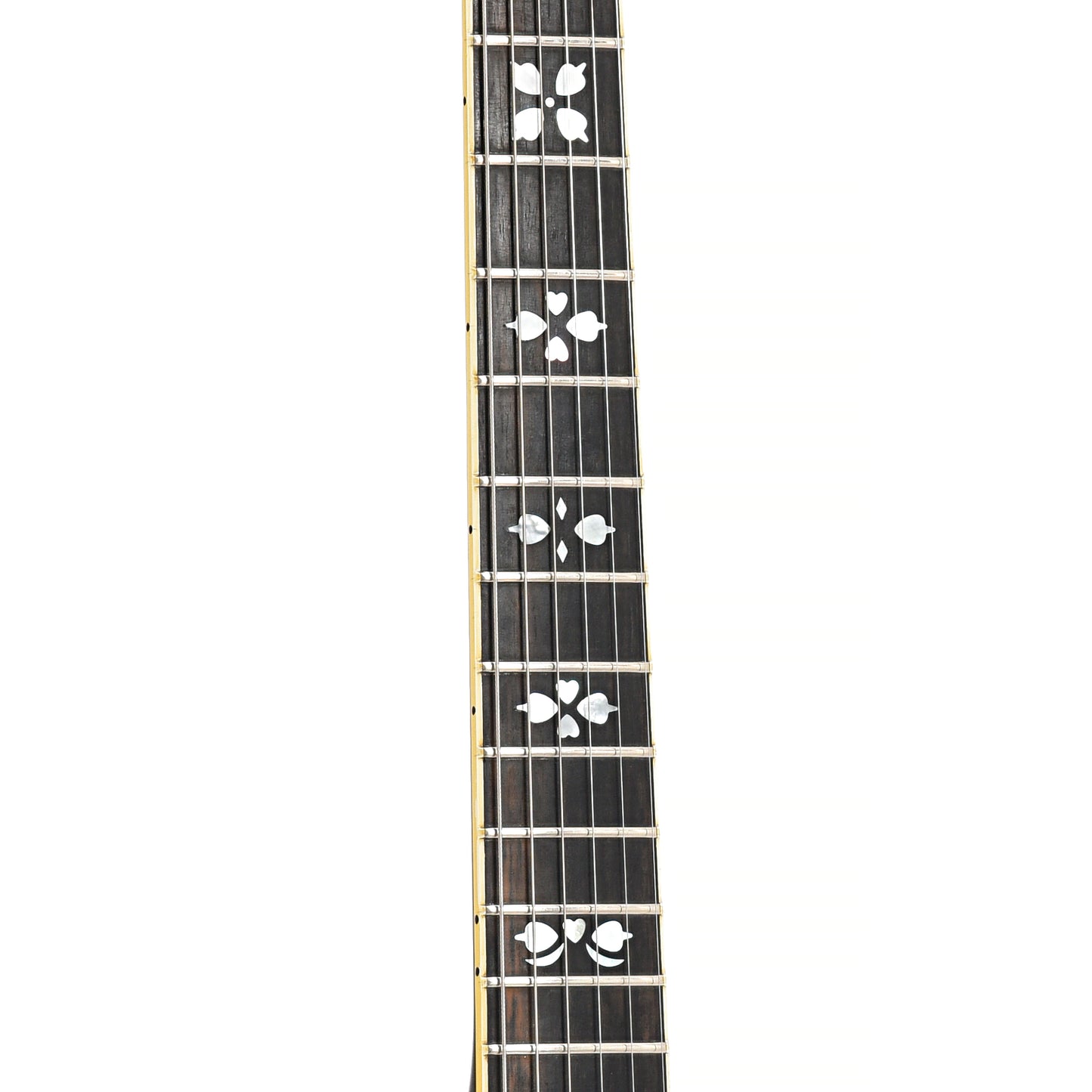 Fretboard of Gibson Les Paul Artisan Electric 