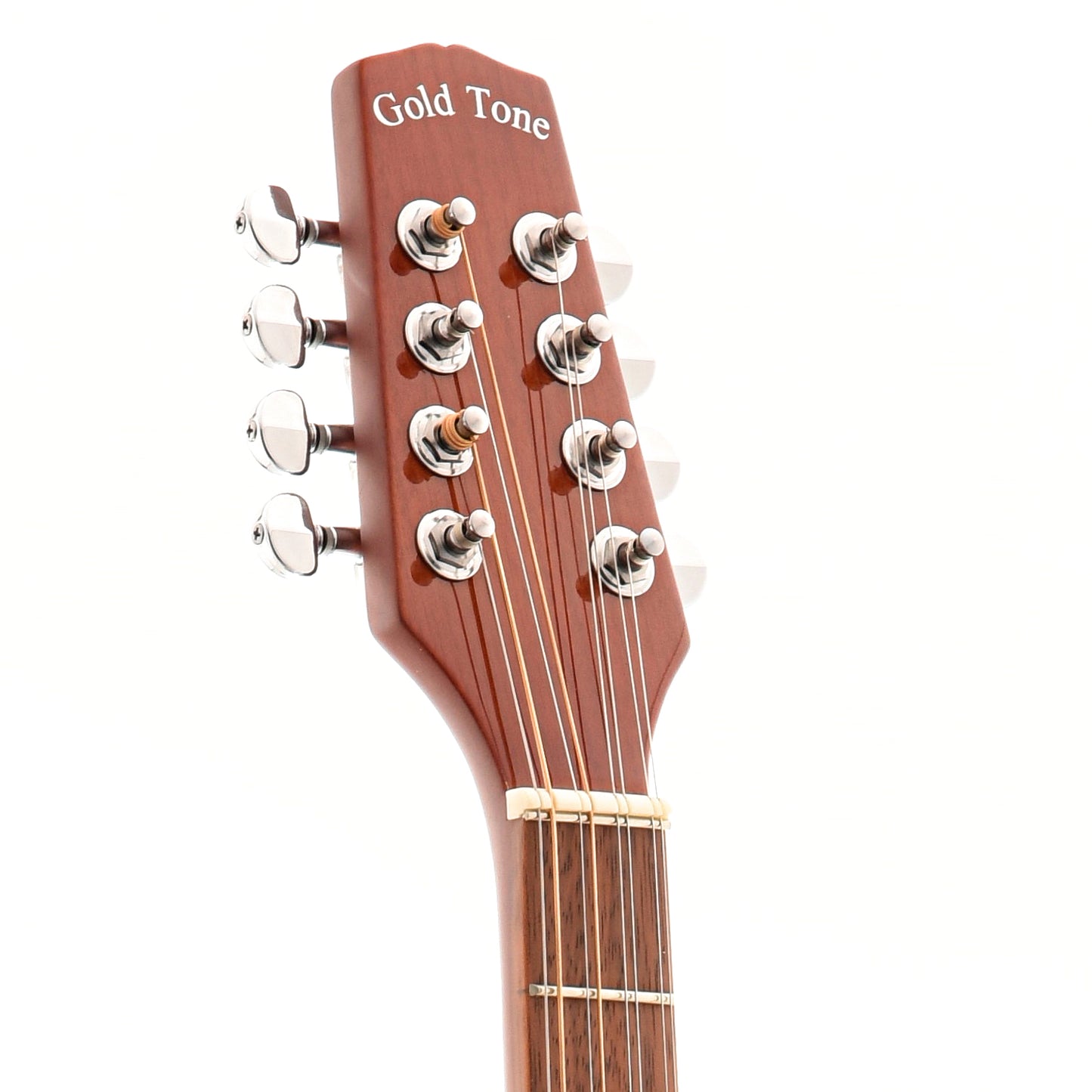 Front headstock of Gold Tone Guitar-Body Bouzouki
