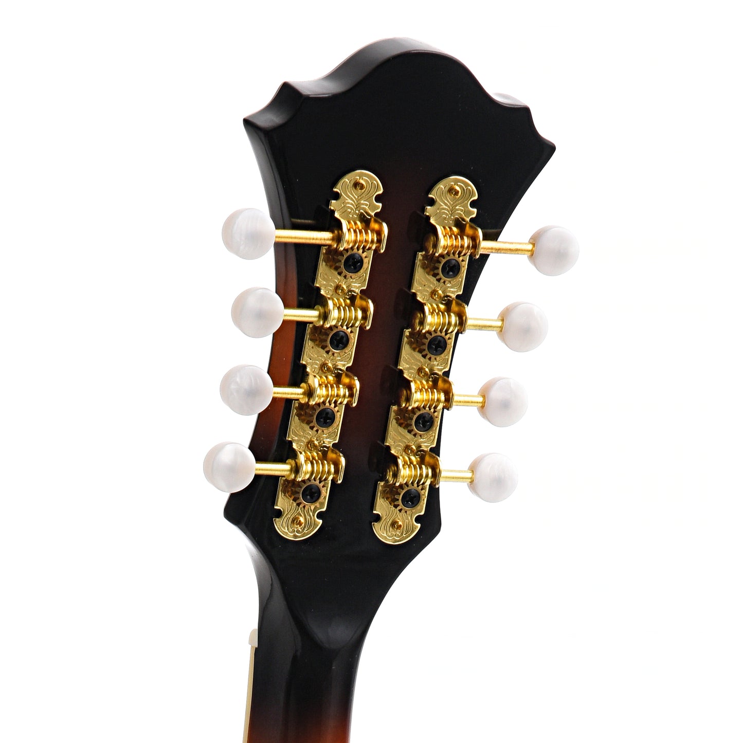 Back headstock of Ibanez M522 F-Style Mandolin, Brown Sunburst