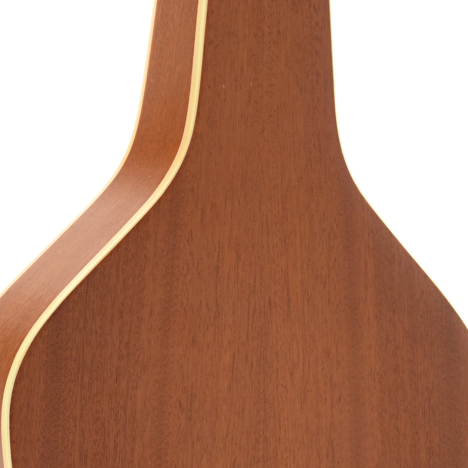 Neck Joint of Gold Tone GT Weissenborn Guitar 