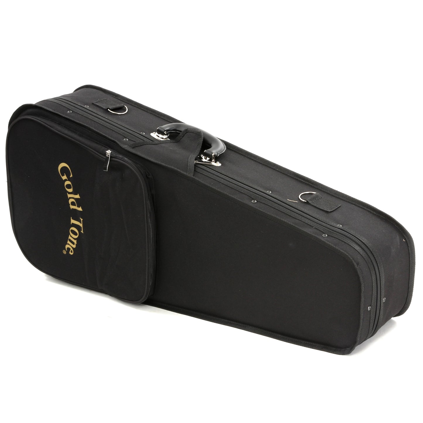 Case for Gold Tone F-6 Manditar