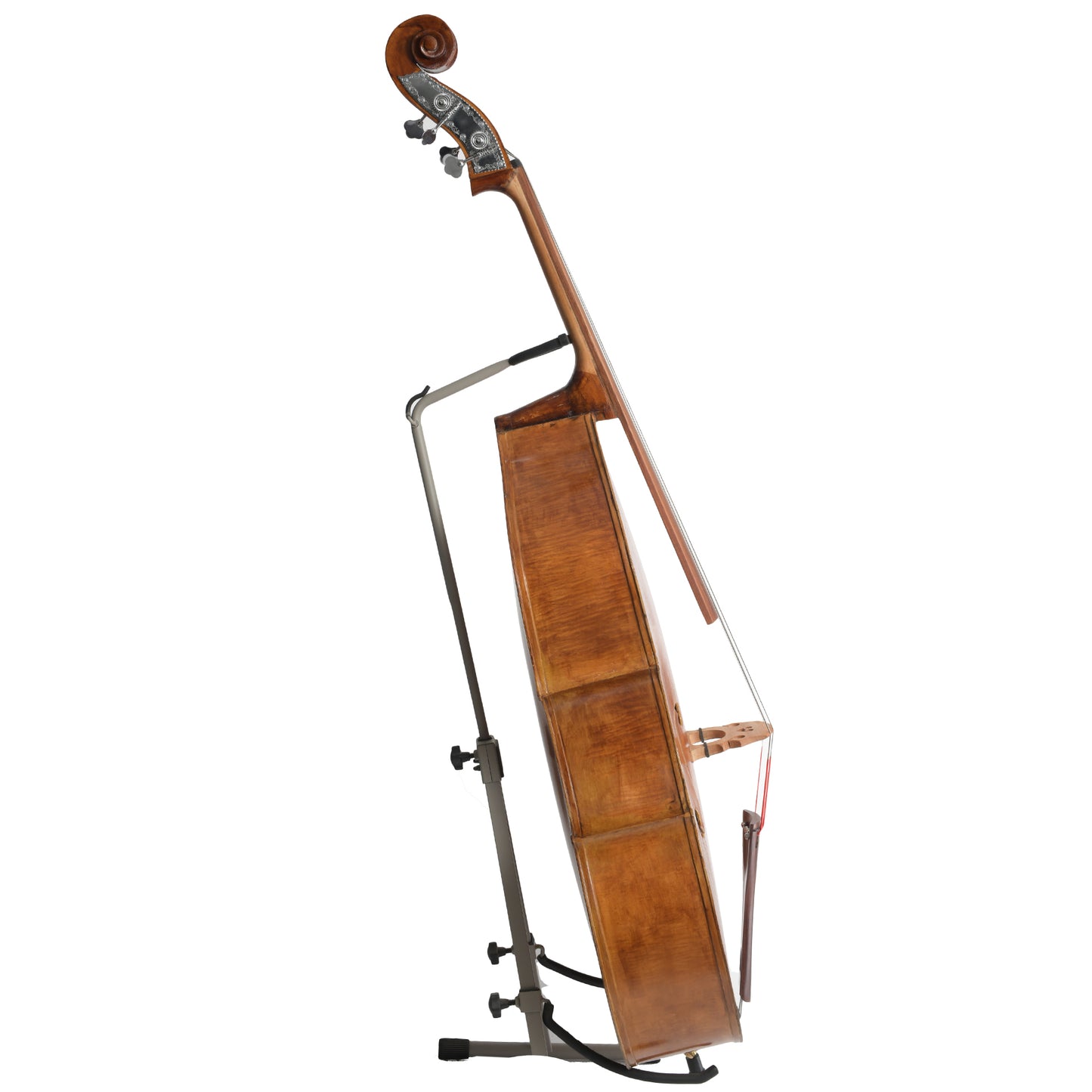 Side of 1947 Kay 3/4 SIze Upright Bass