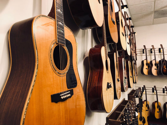 Guitars hanging on the wall of the Elderly Instruments Showroom