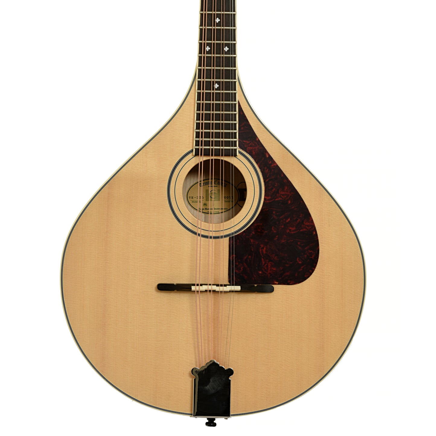 Front of Trinity College Octave Mandolin