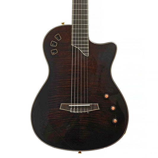Front of Cordoba Stage Artist Acoustic-Electric Guitar & Case, Habano Burst, Shopworn