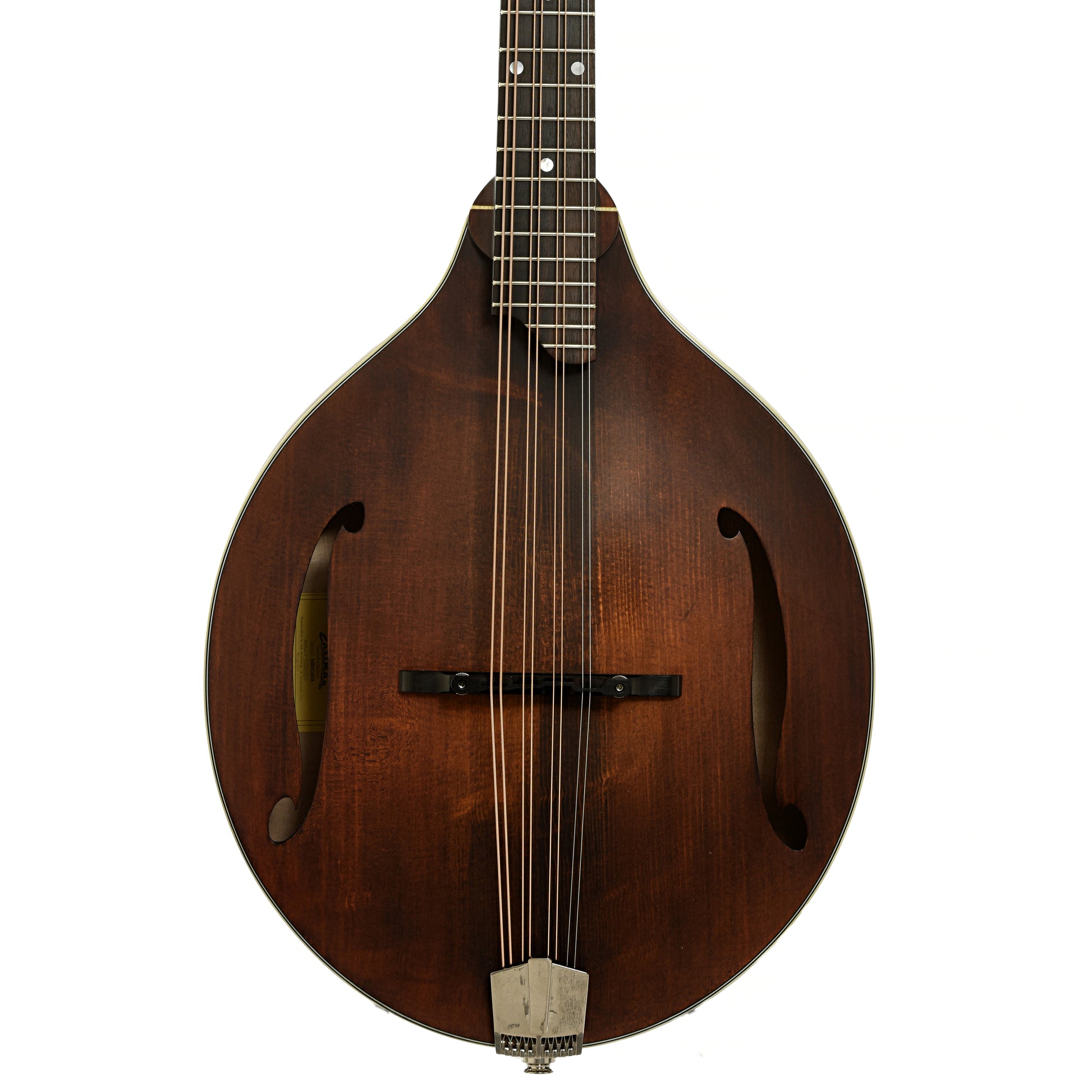 front of Eastman MDO305 Octave Mandolin