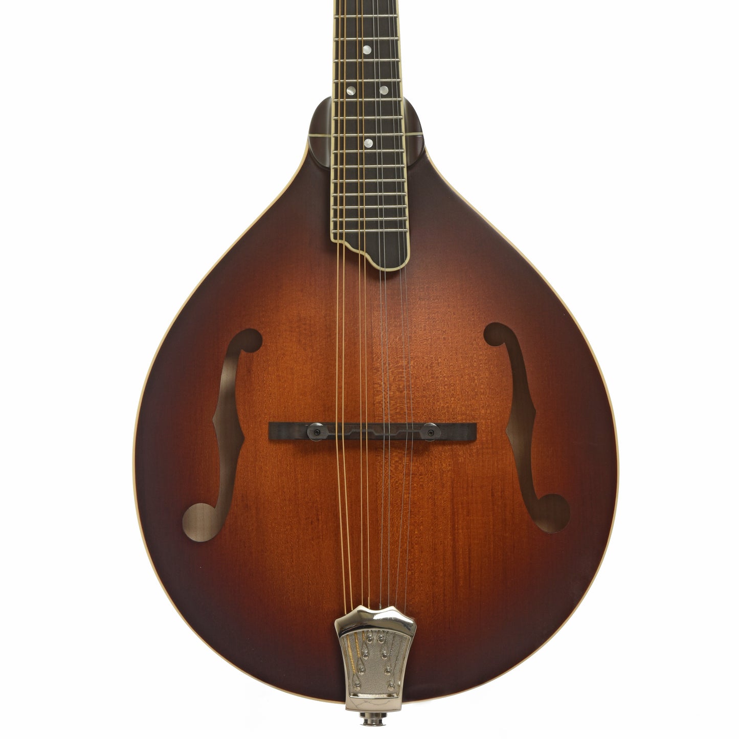 Gold Tone GM-55 A-Style Mandolin & Case