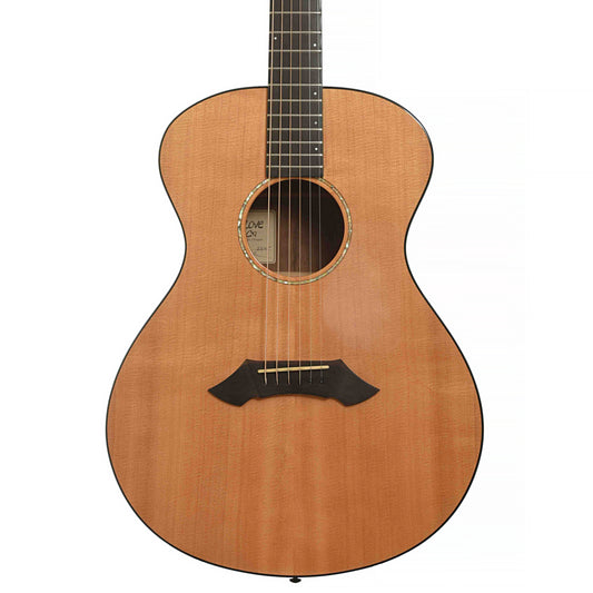 Front 1 of Breedlove SC20/W