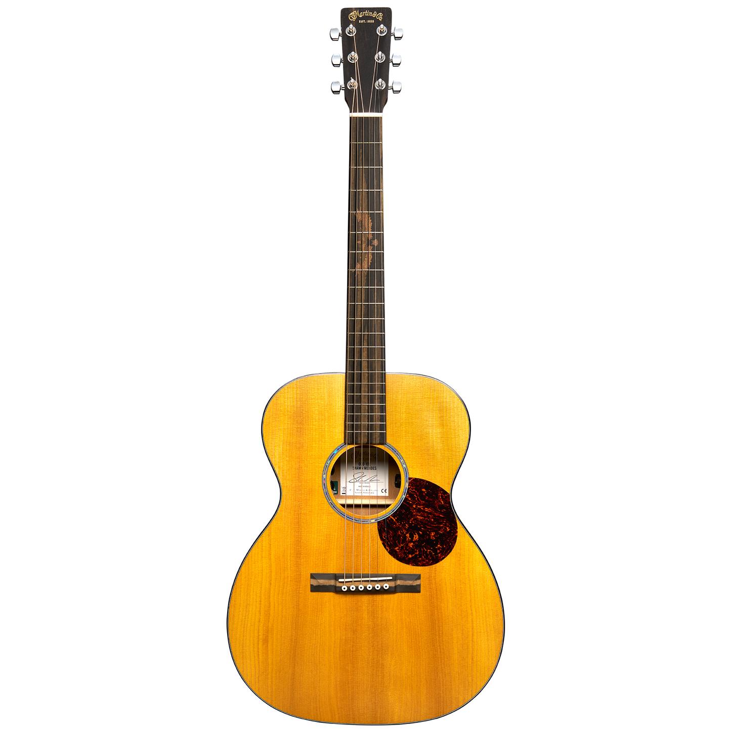 Full Front of Martin 000-10E Shawn Mendes Guitar & Case