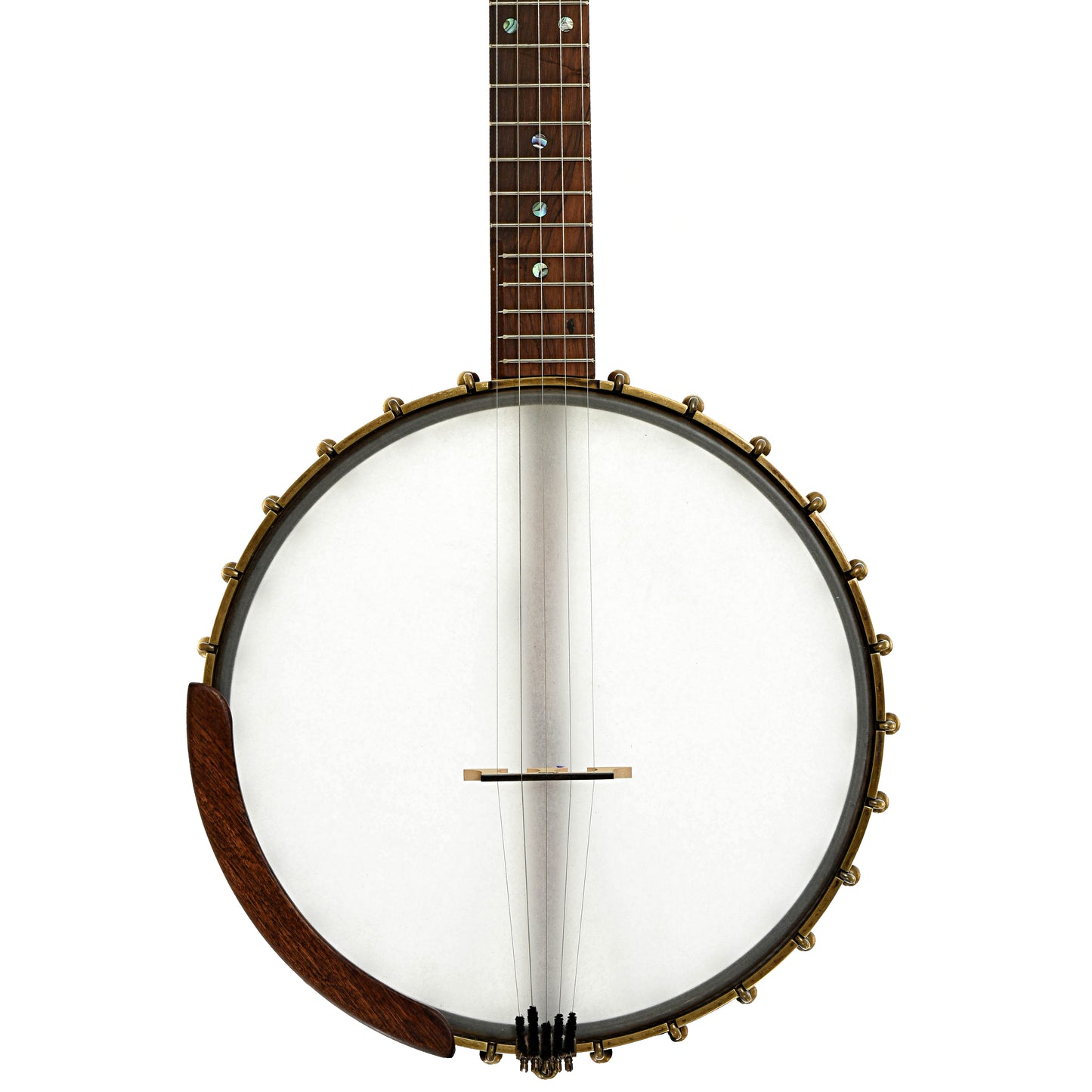 Front of Starr Limited Edition Banjos 12" Curly Maple Open-back Banjo