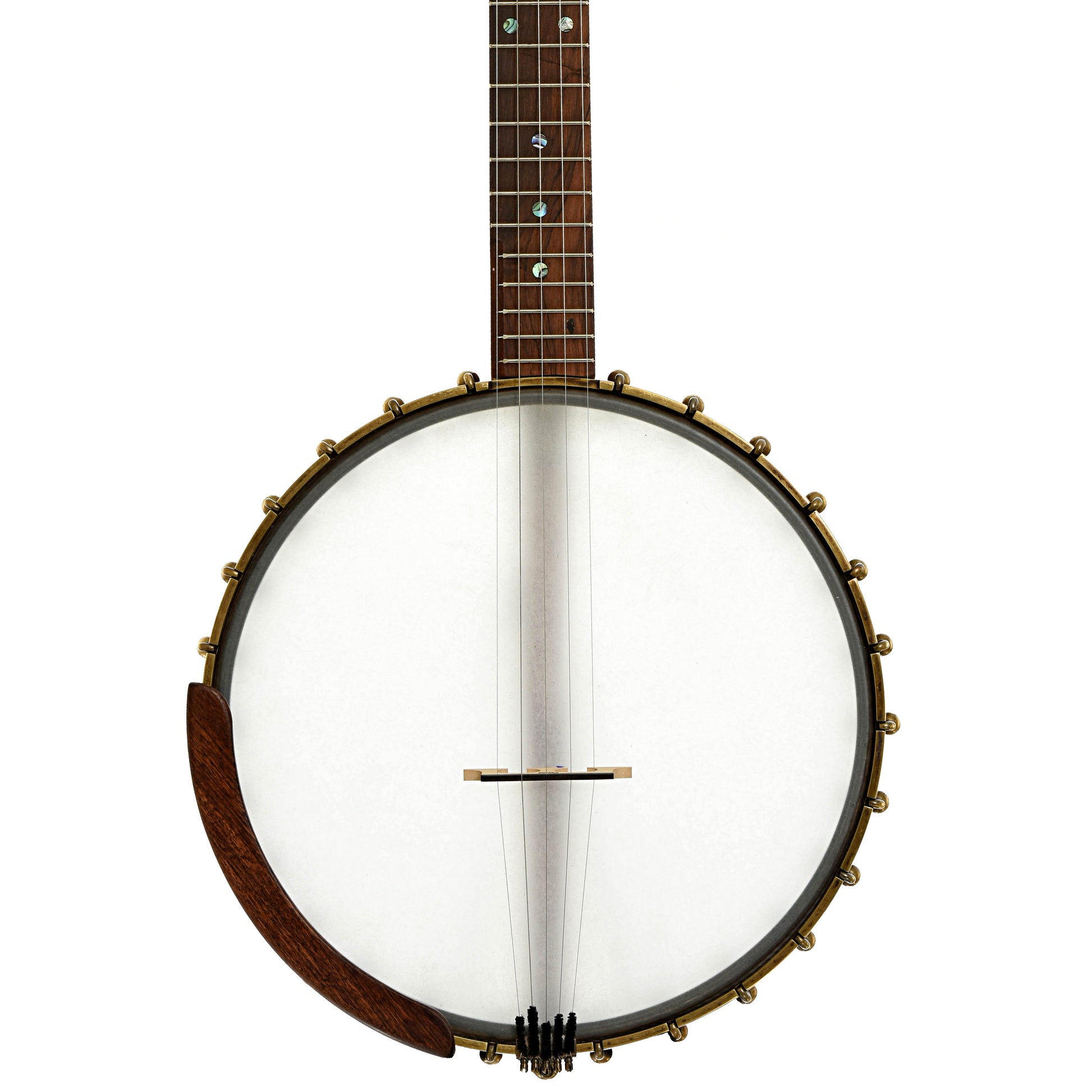 Front of Starr Limited Edition Banjos 12" Curly Maple Open-back Banjo