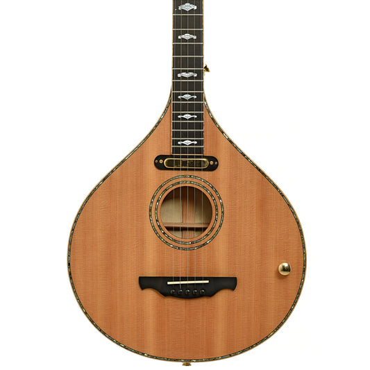 Front of Gold Tone Pat Cloud Banjola 