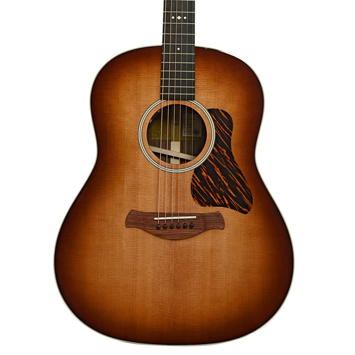 Front of Taylor Gold Label 717e SB Acoustic-Electric Guitar