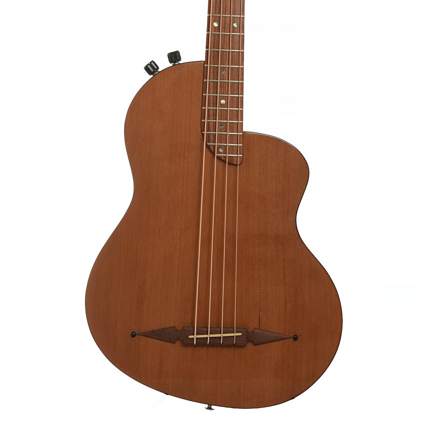 Front of Rick Turner RB-4 Acoustic-Electric Bass