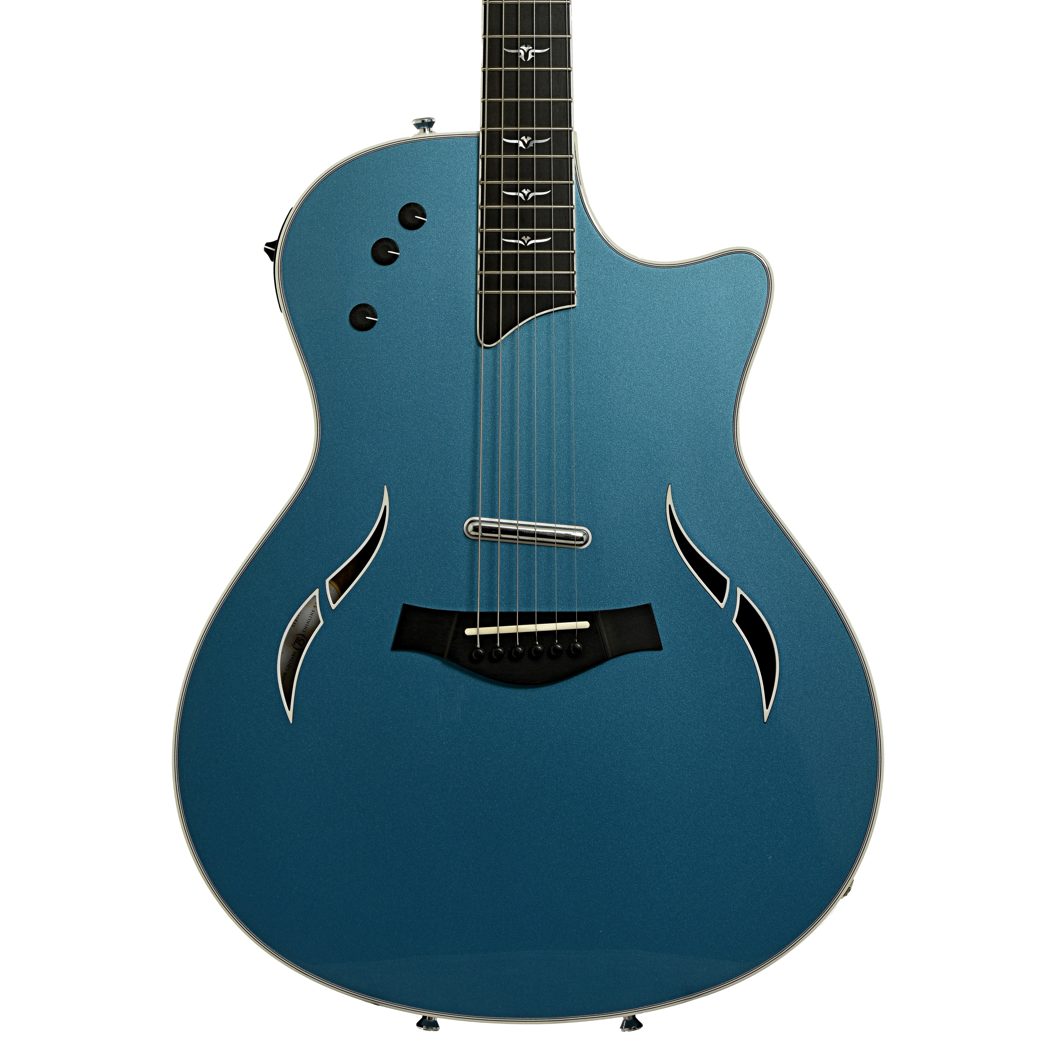 Taylor T5-C Hollowbody Electric Guitar (2006) – Elderly Instruments