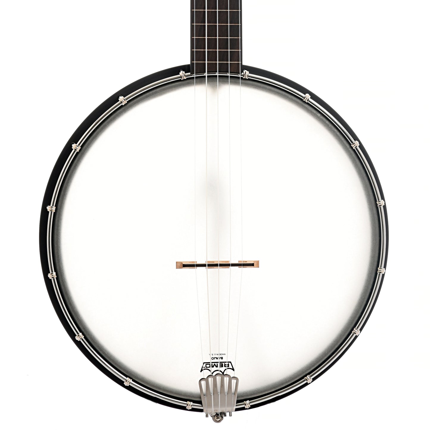 Front of Gold Tone AC-12FL 12" Fretless Openback Banjo 