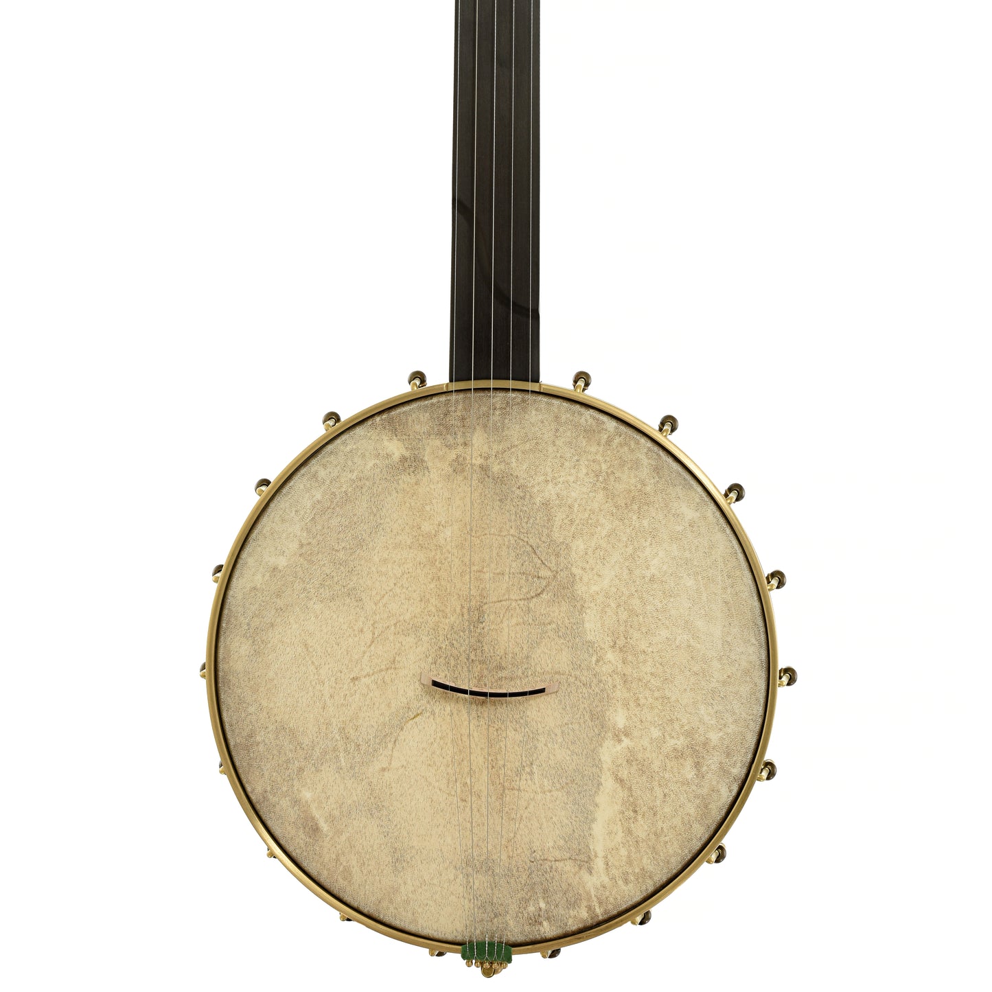 Front of Chuck Lee Hawkins Spring 12" Fretless Openback Banjo, #876 