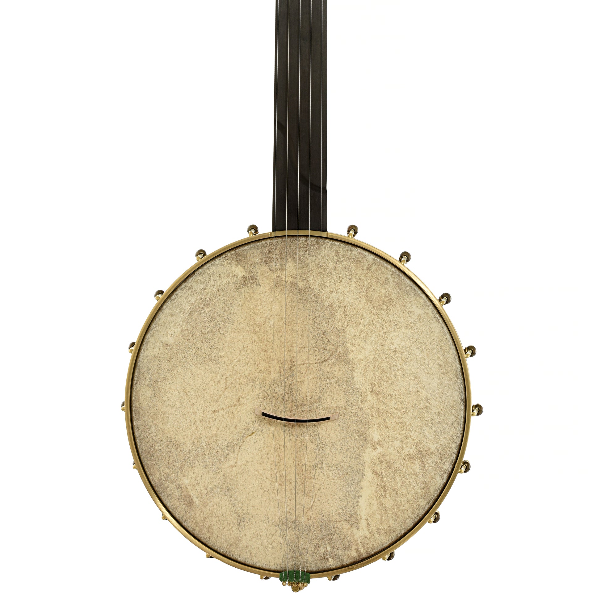 Front of Chuck Lee Hawkins Spring 12" Fretless Openback Banjo, #876 