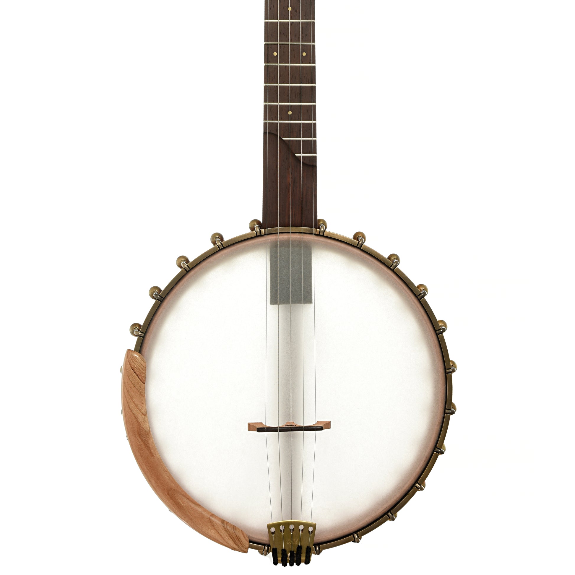 Front of Ome Tupelo 11in Openback Banjo, Mahogany Neck