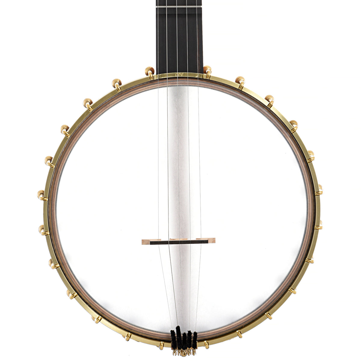 Front of Ode Moonlight 11" Openback Banjo