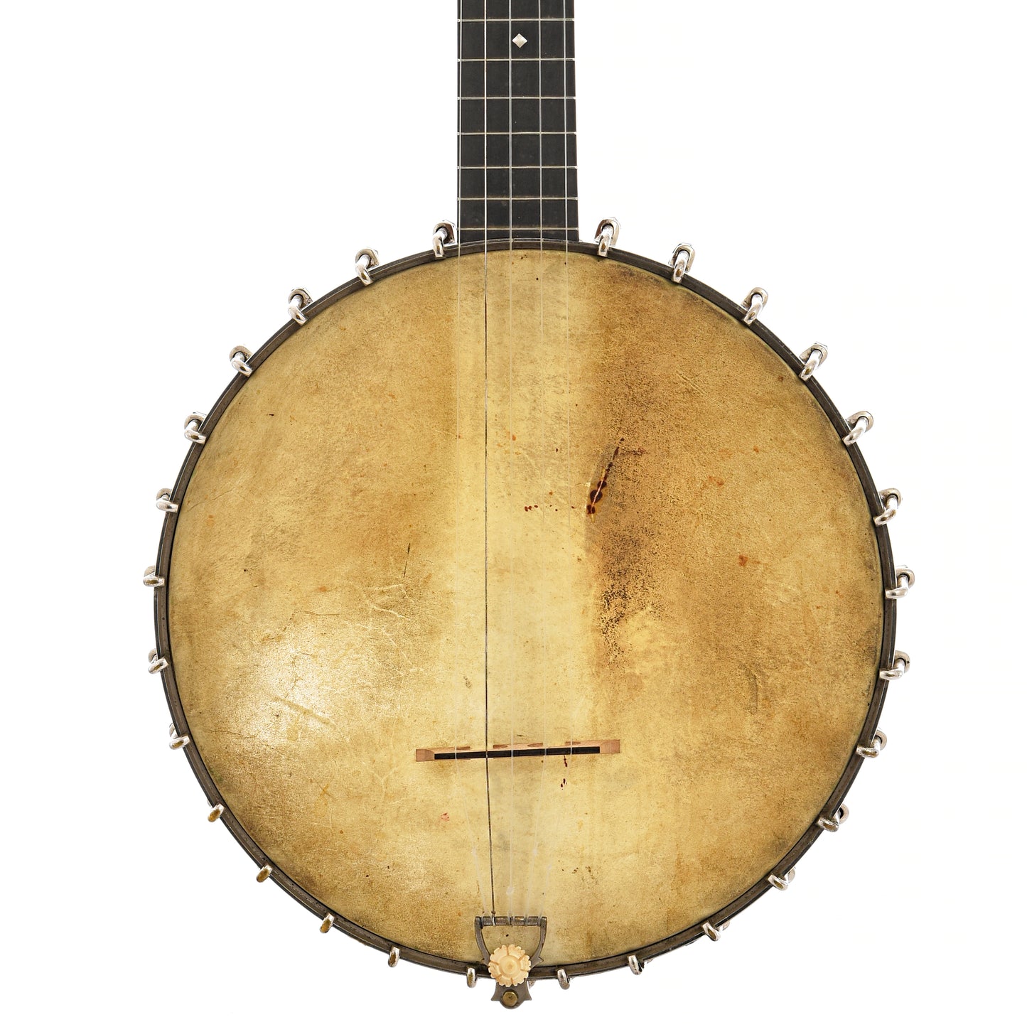 Front of S.S. Stewart Special Thoroughbred Open Back Banjo (c.1890)