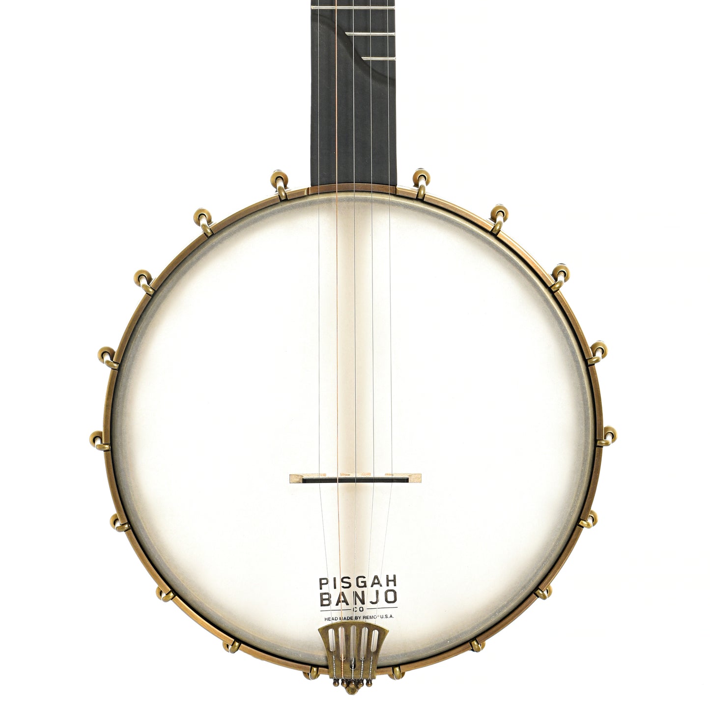 Front of Pisgah Banjo Co. 11" Laydie Openback Banjo