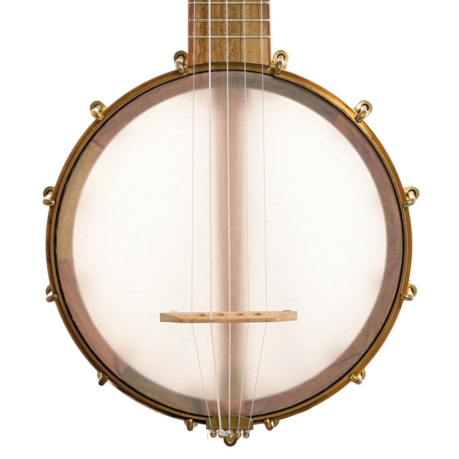 Front of Aaron Keim Beansprout Mini 5-String Openback Banjo