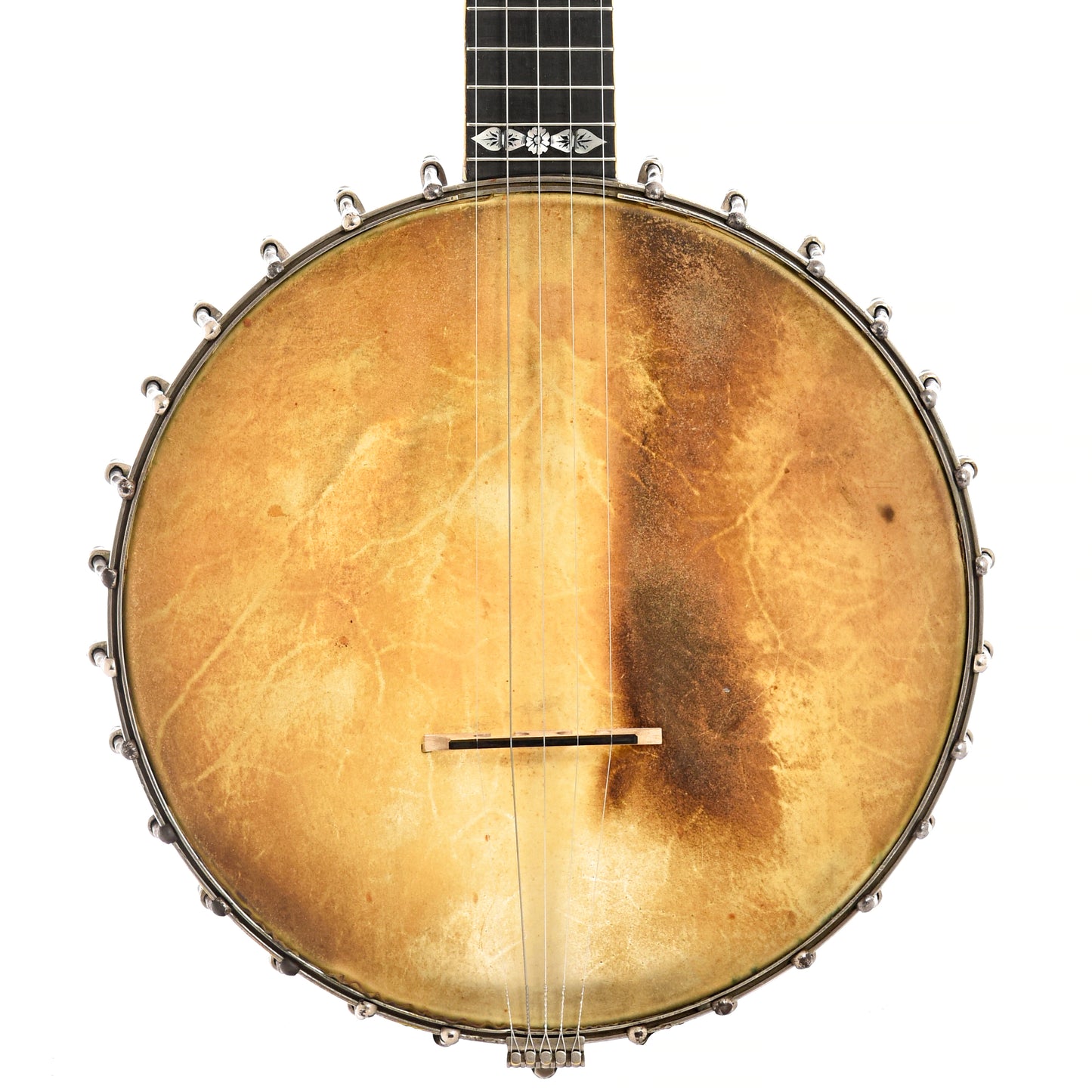 front of Fairbanks Whyte Laydie No.7 Banjo