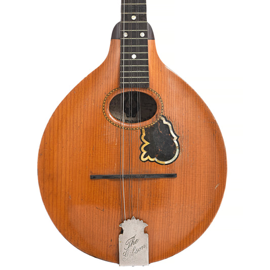 Front of Gibson A Model Mandolin (1905)