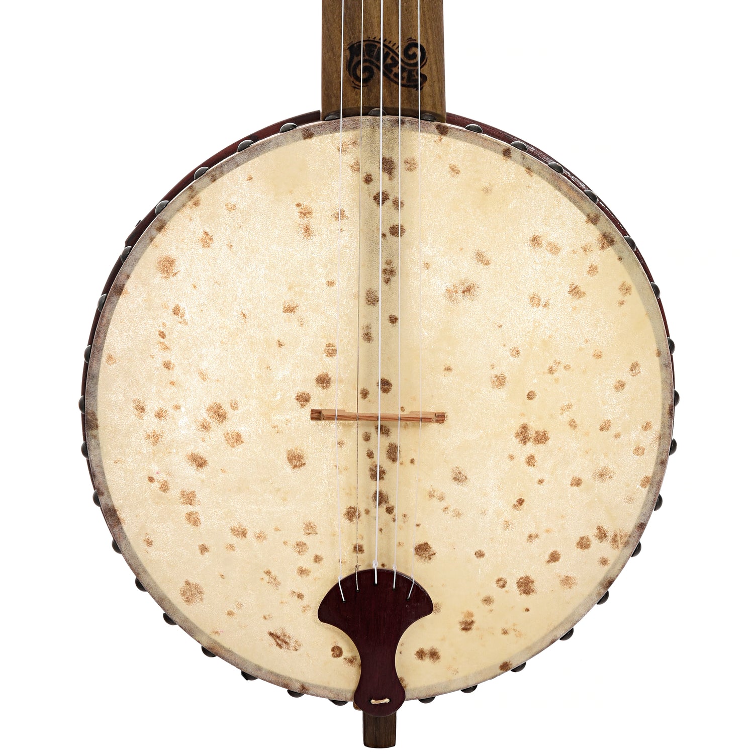 Front of Menzies Tackhead Banjo #531