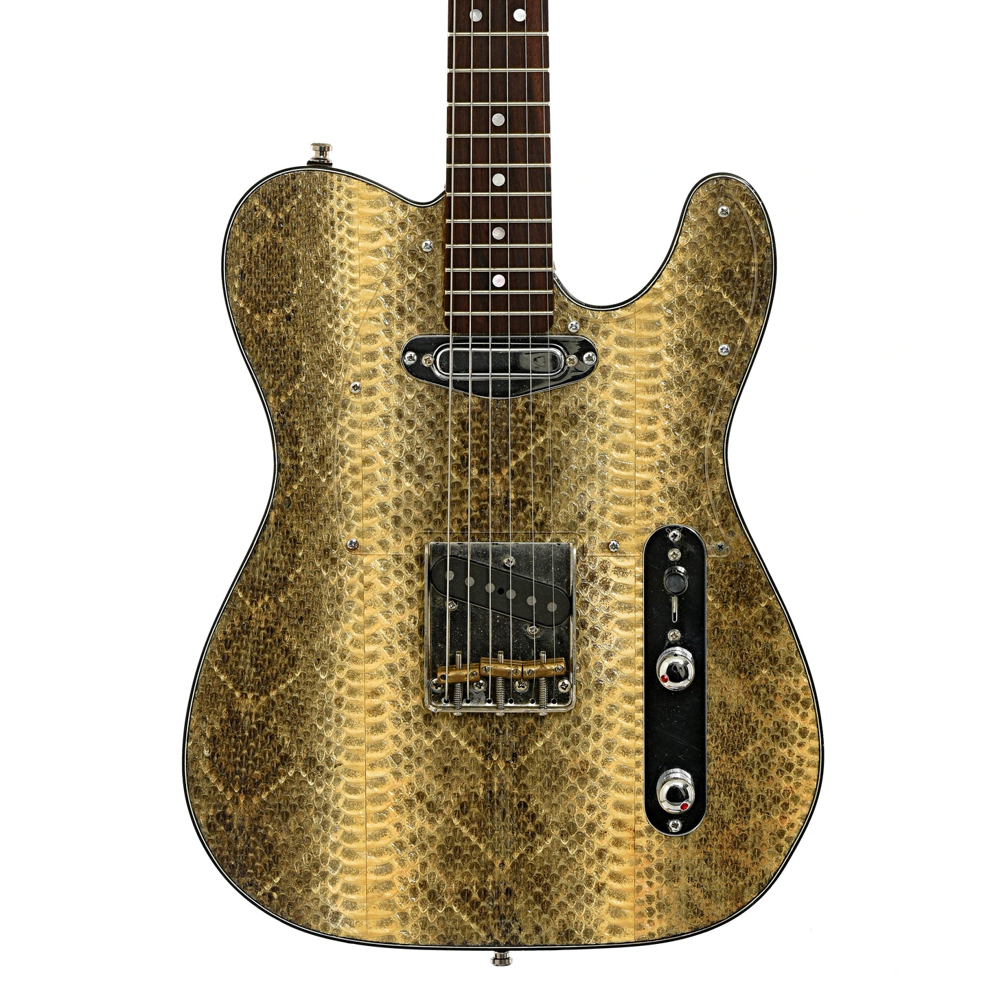 Front of Wagner Snakeskin T Electric Guitar