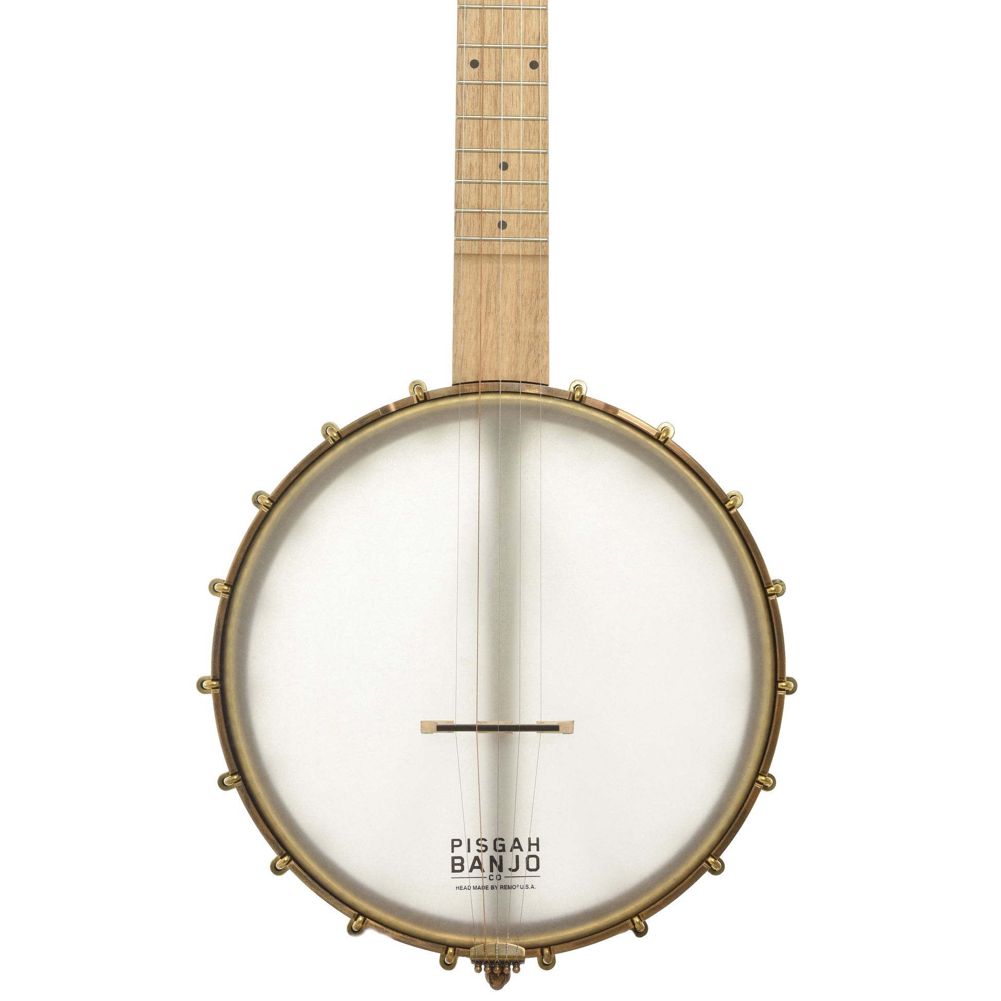 Front of Pisgah Appalachian 11in Short Scale Openback Banjo