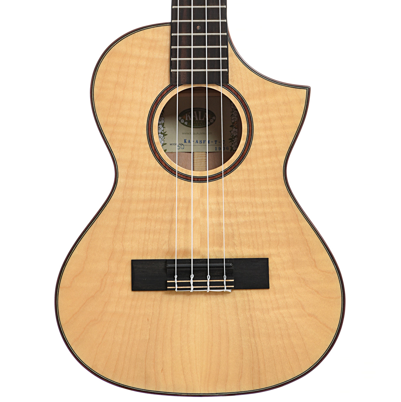 AS-IS Instruments & Gear – Elderly Instruments