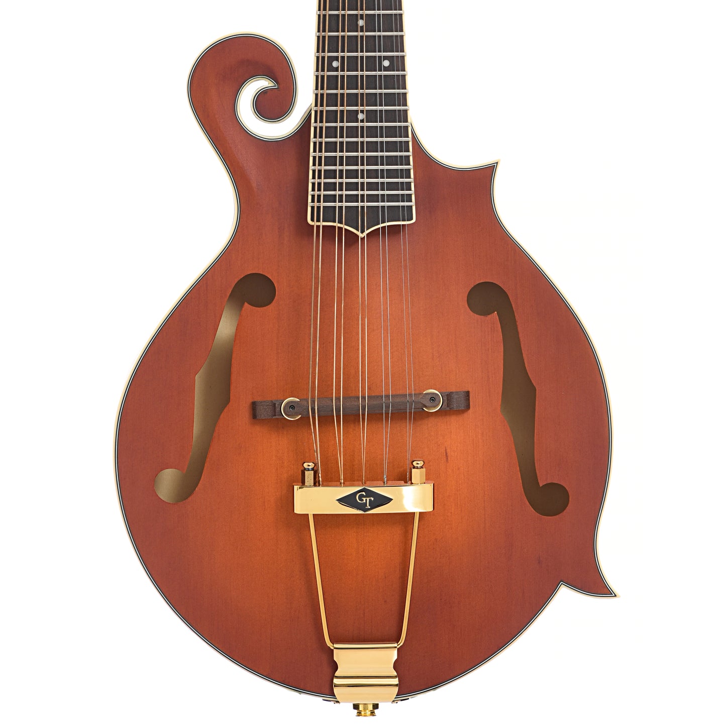 Front and side of Gold Tone F-10 10-String Mandolin 