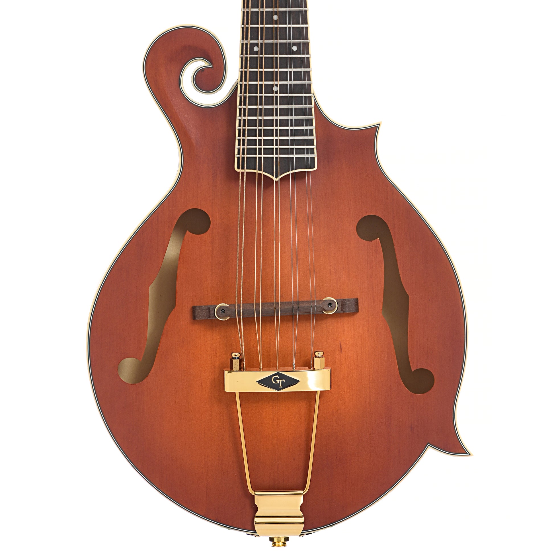 Front and side of Gold Tone F-10 10-String Mandolin 