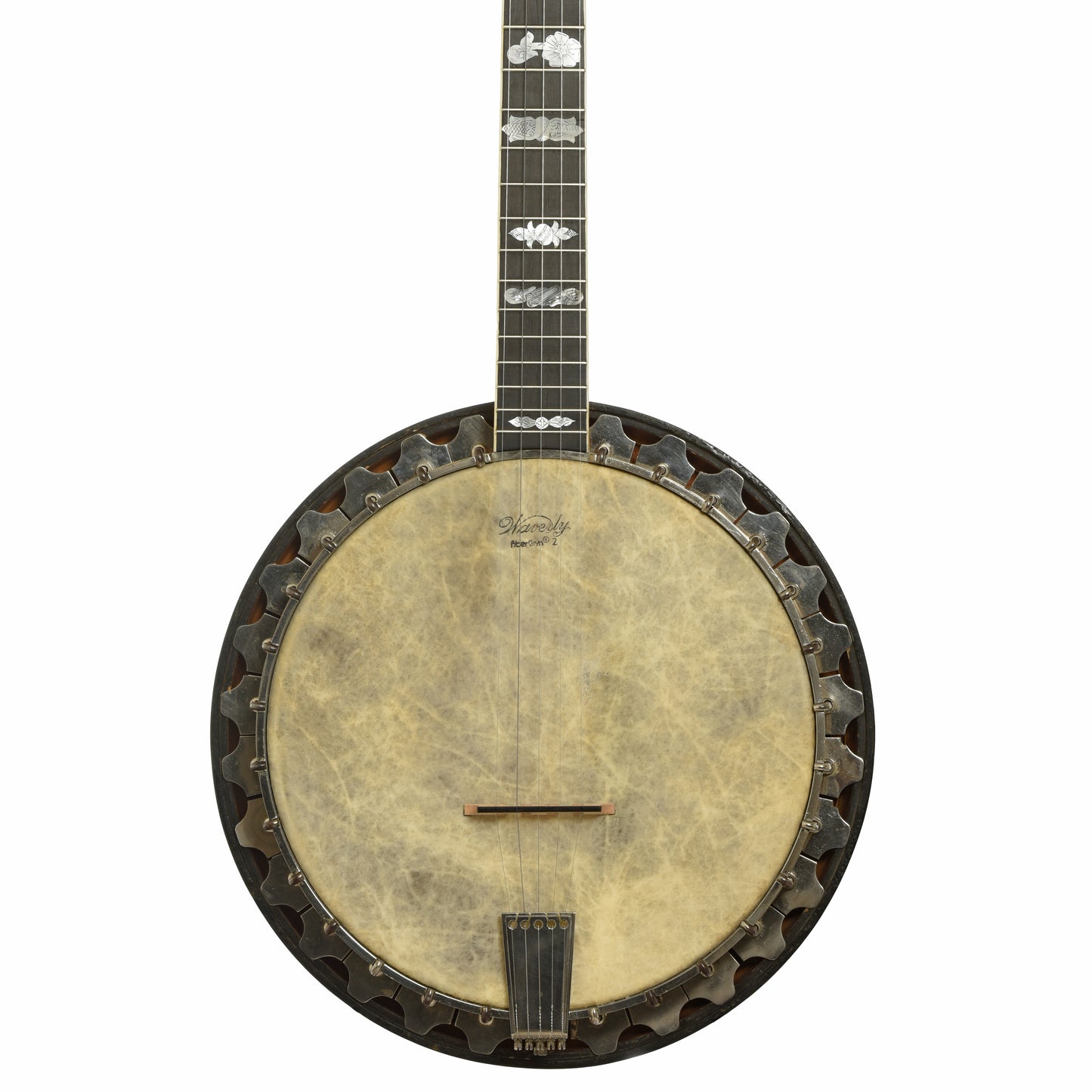 Front of Vega Vegaphone Professional Conversion Openback Banjo
