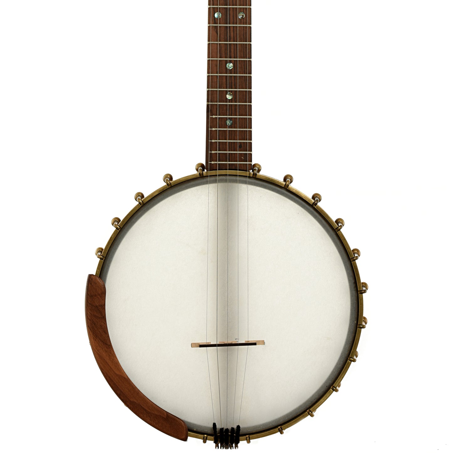 Front of Starr Limited Edition Banjos 11" Curly Maple Open-back Banjo