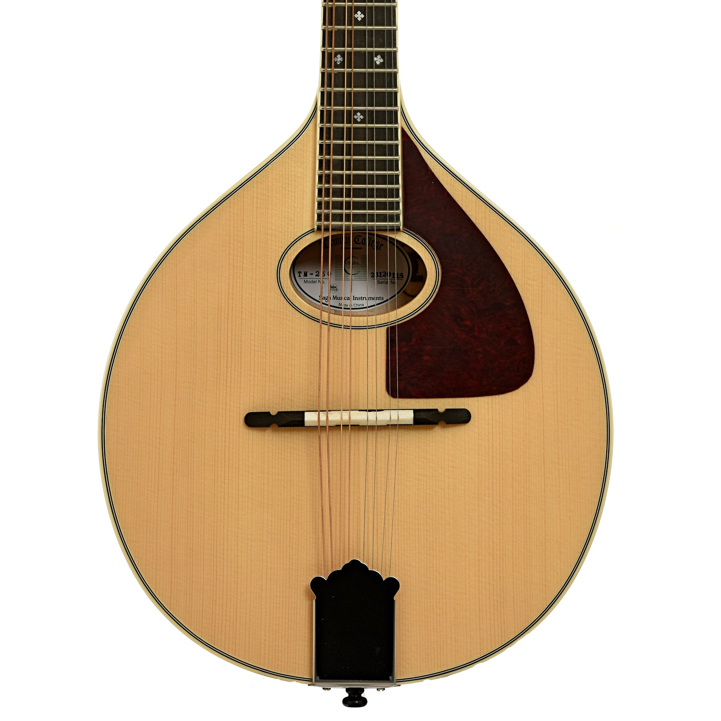 Front of Trinity College TM-250 Celtic Mandolin 