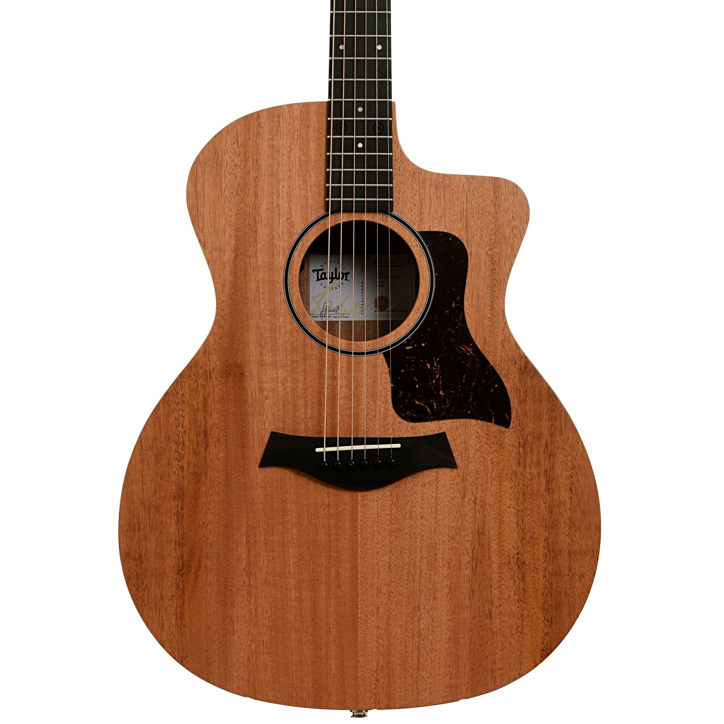 Taylor 24ce Acoustic Guitar & Gigbag