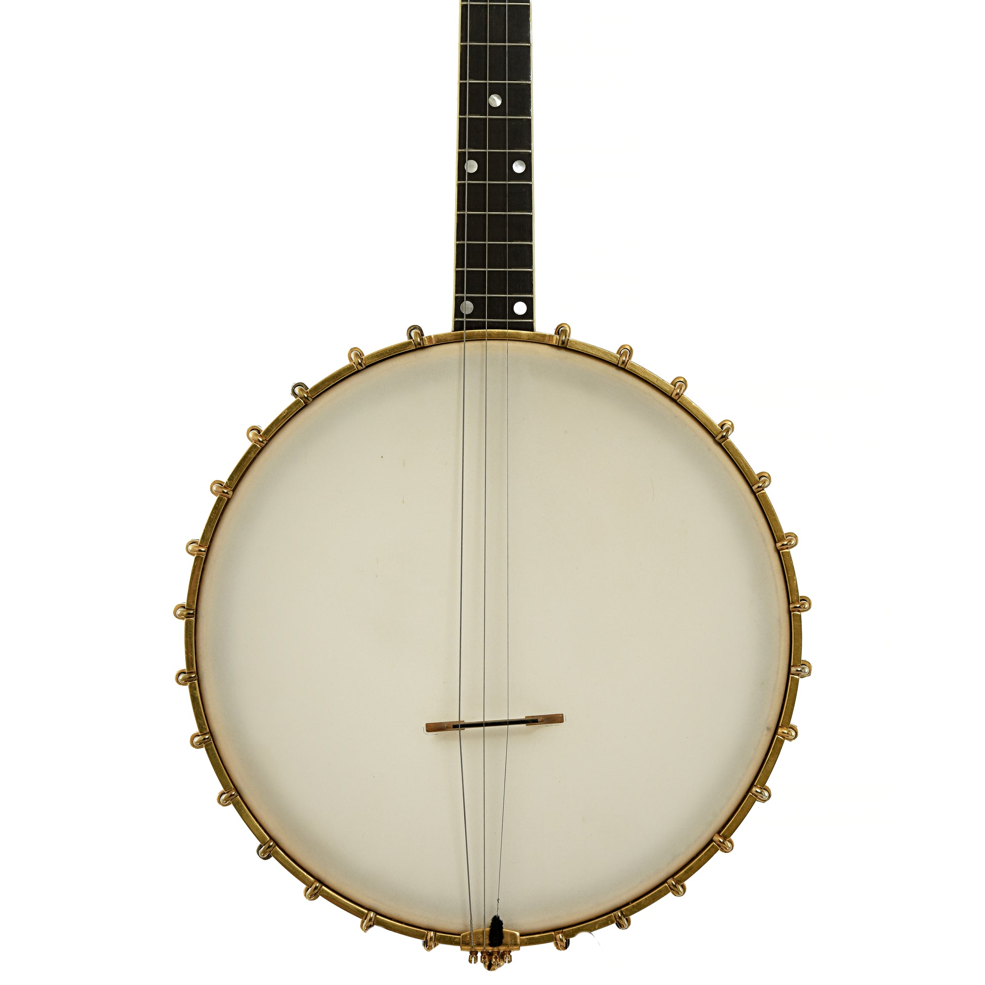 Front of Vega Style R Whyte Laydie Tenor Banjo 