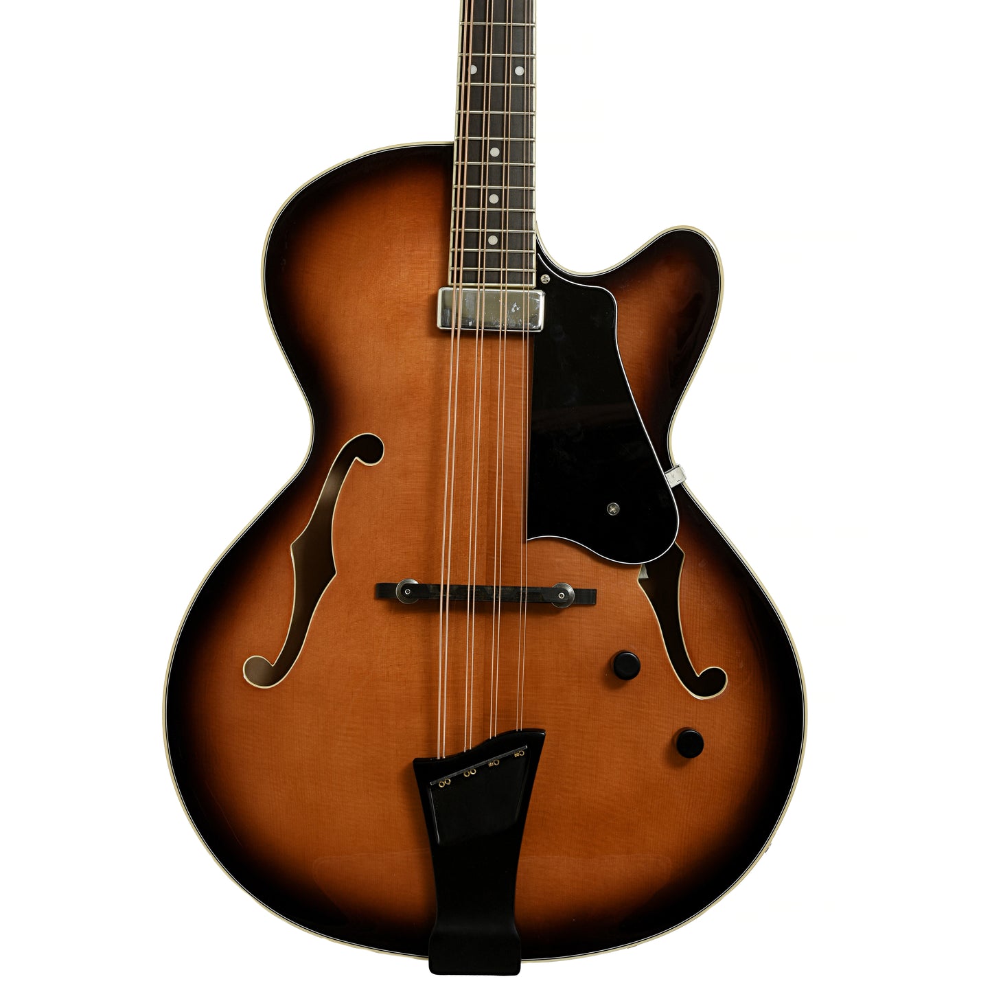 Front of Gold Tone Acoustic-Electric Mandocello