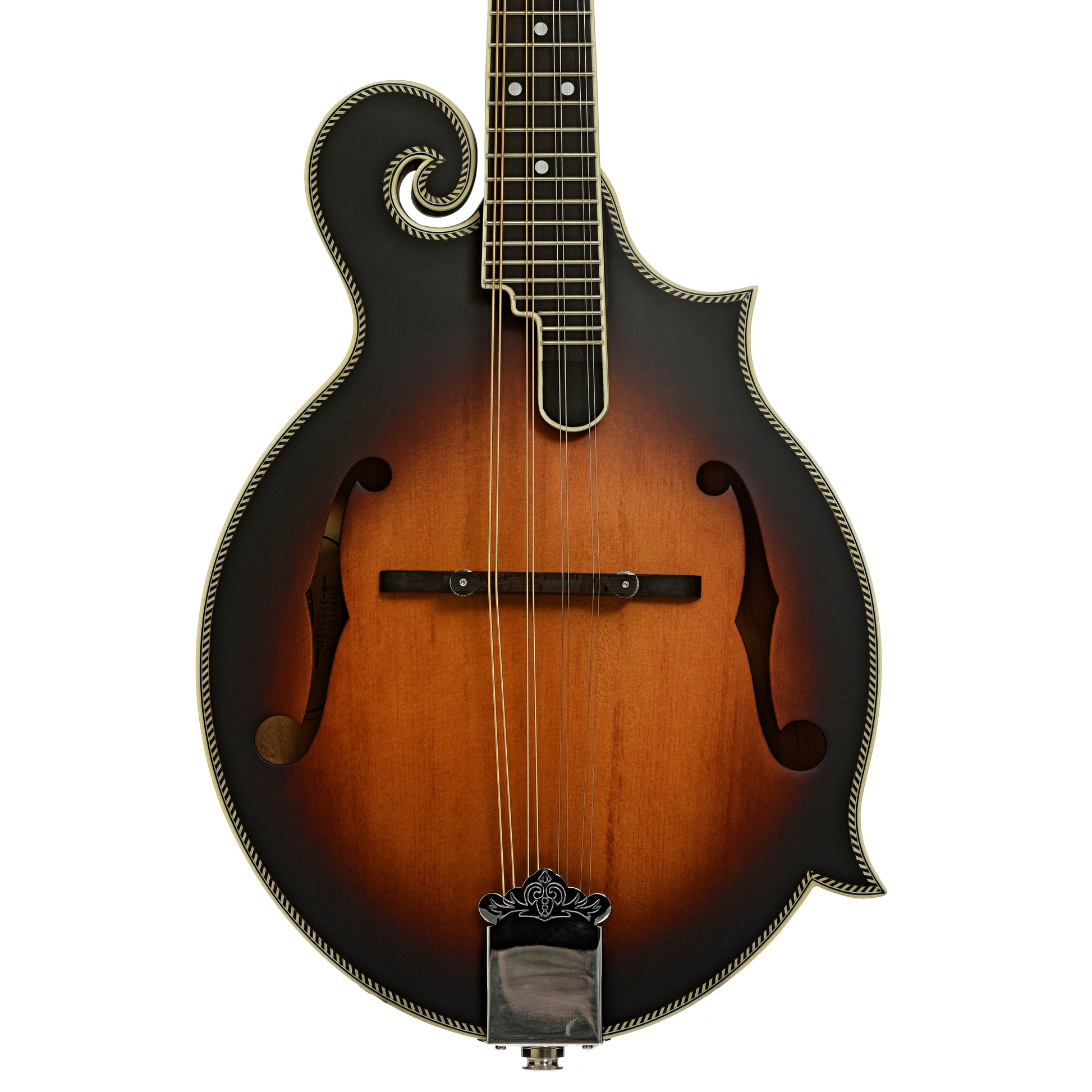 Front of Washburn M3SE F-Style Acoustic-Electric Mandolin