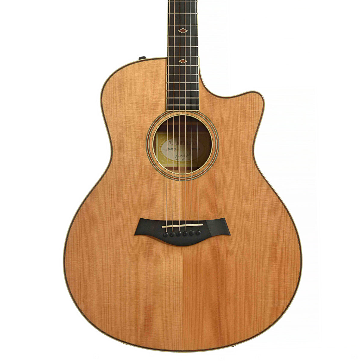 Front 2 of Taylor GSce-FLTD