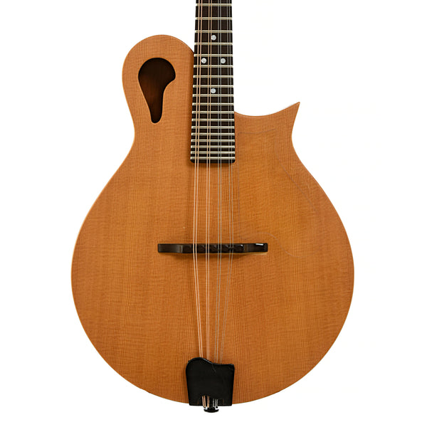 Tacoma M-1 Mandolin (2001) – Elderly Instruments