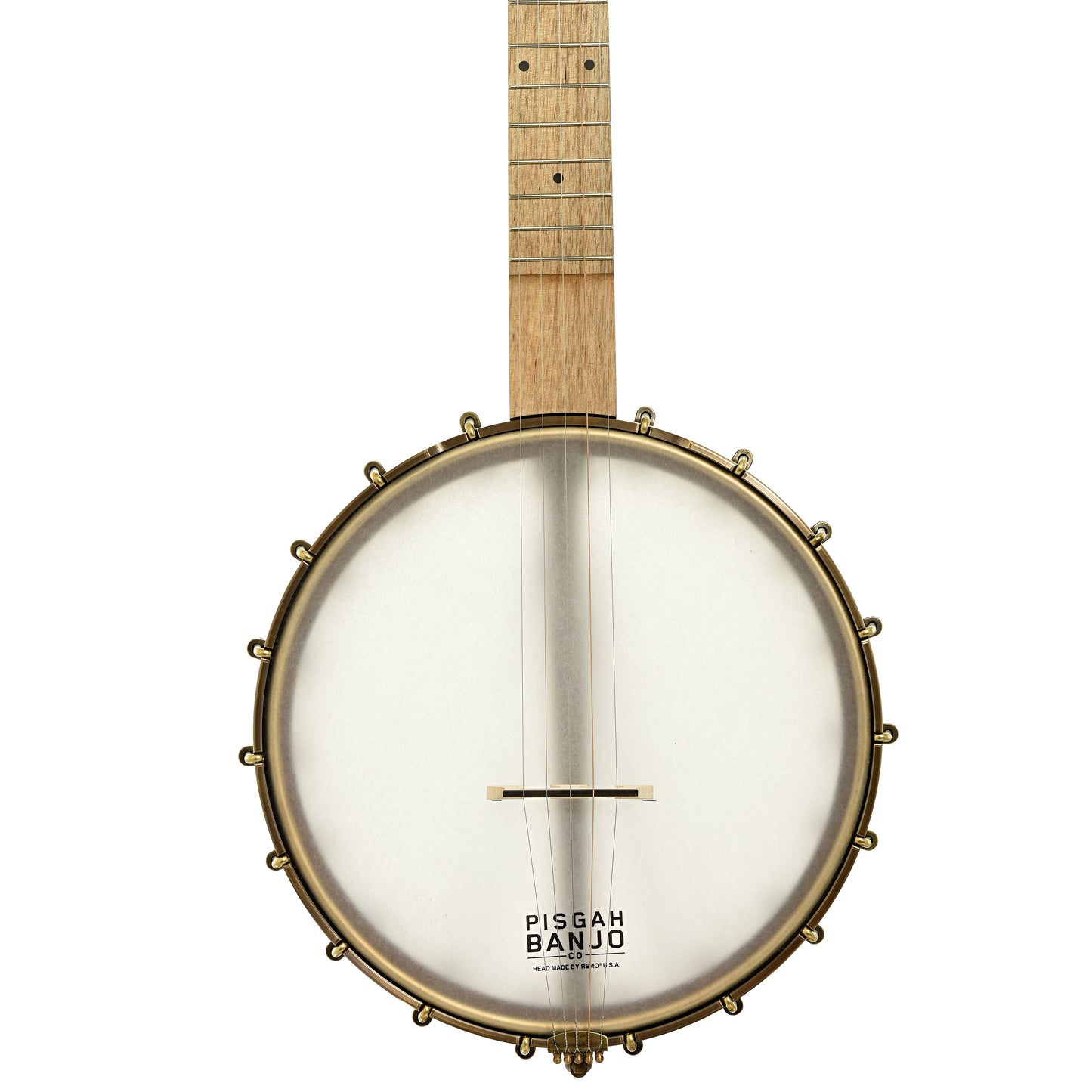 Front of Pisgah Appalachian 11" Lefthanded Openback Banjo 