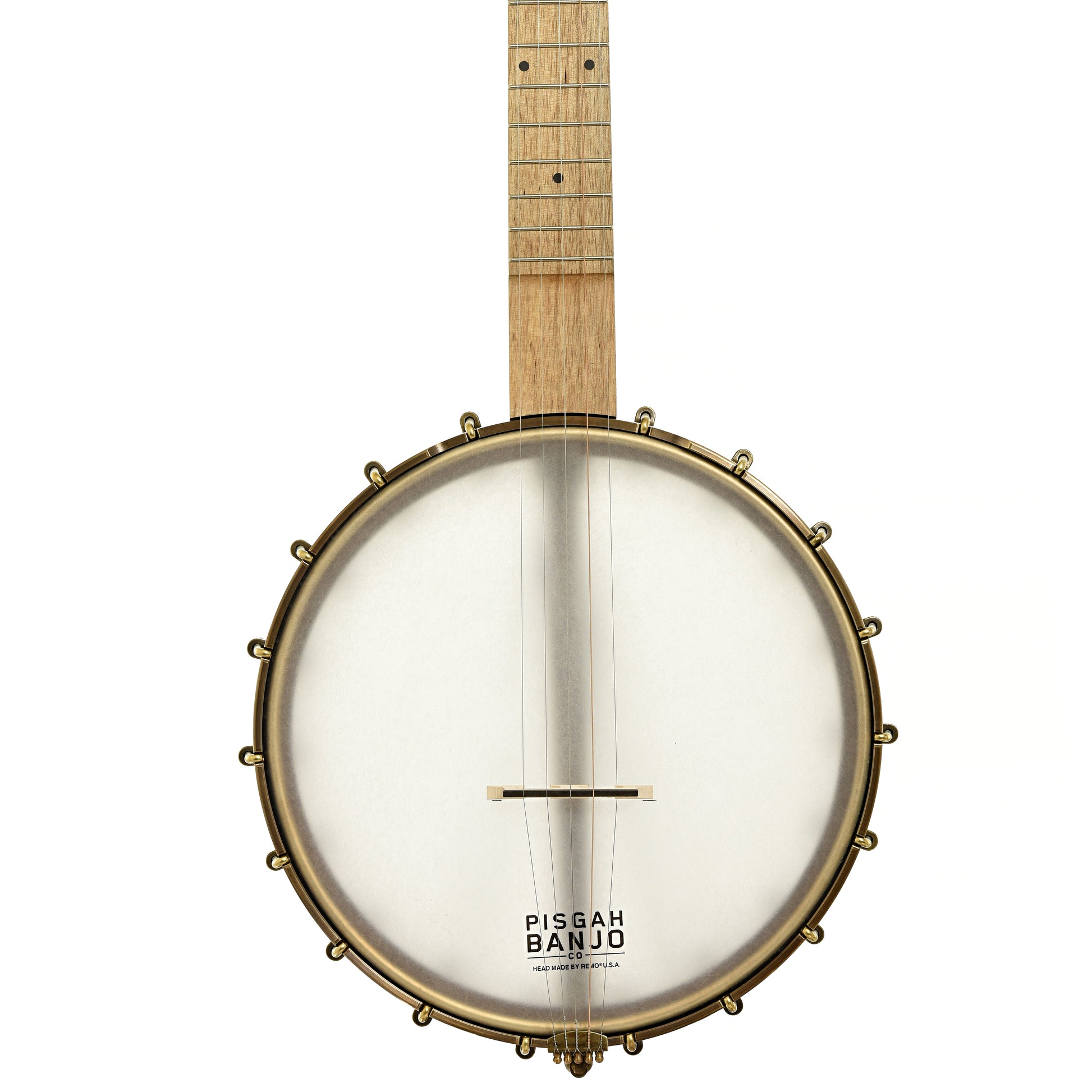 Front of Pisgah Appalachian 11" Lefthanded Openback Banjo 