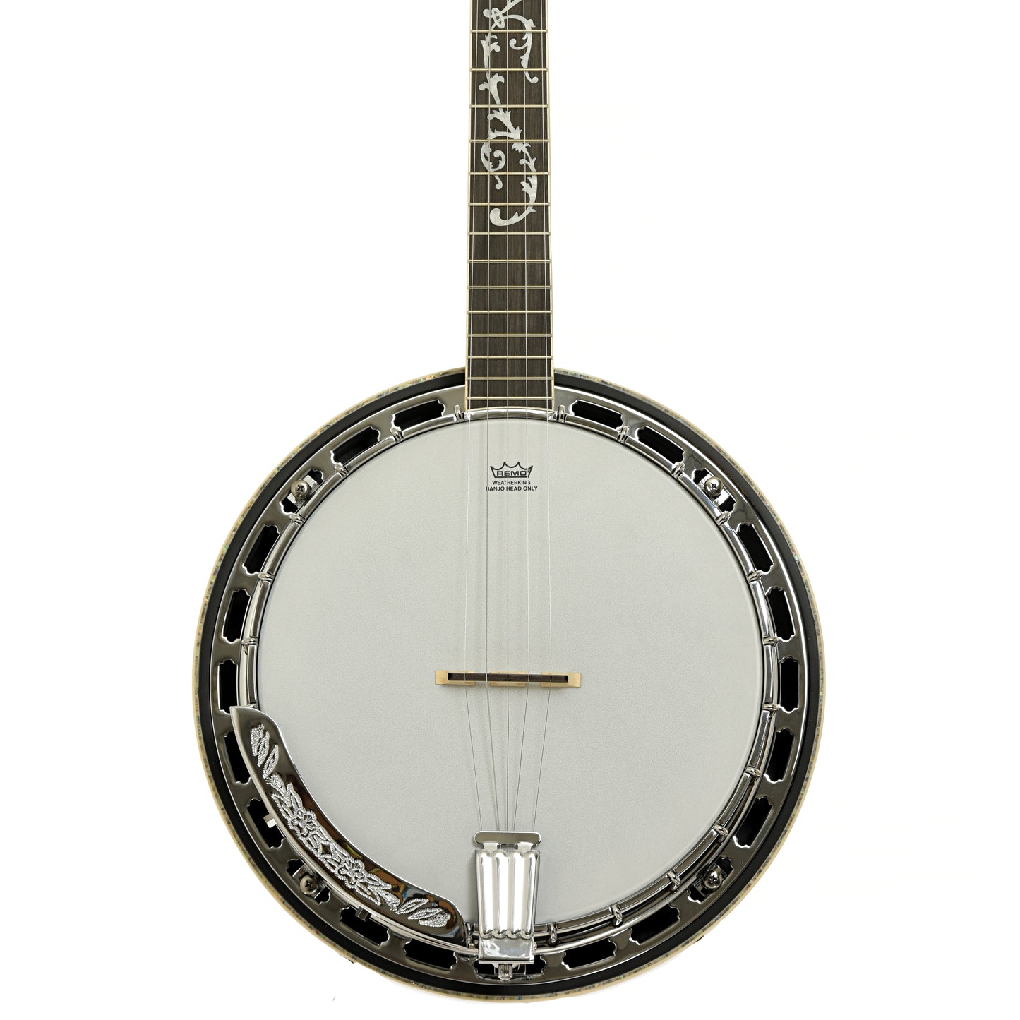 Front of Ibanez B300 Resonator Banjo